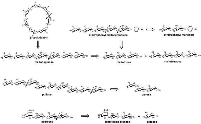 FIG. 8.