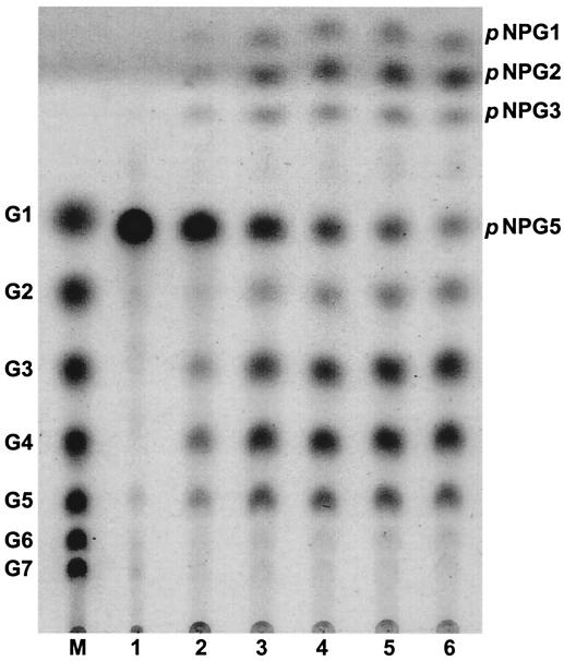 FIG. 7.