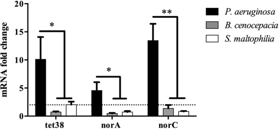 Figure 7