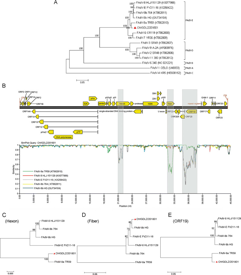 Fig. 2