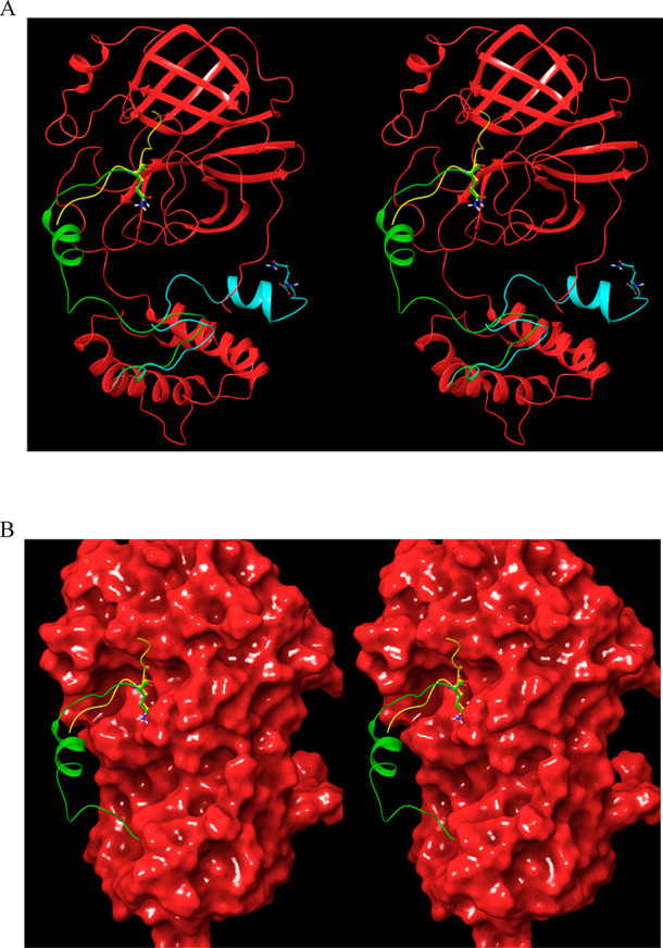 Figure 21