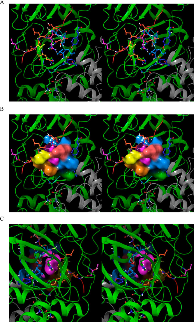 Figure 24