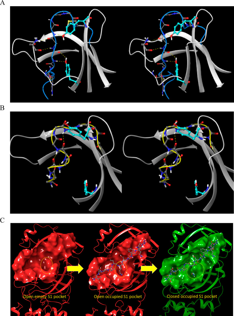 Figure 17