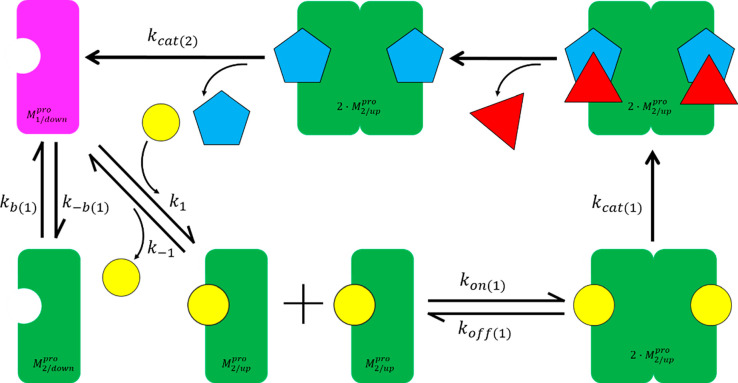 Figure 29