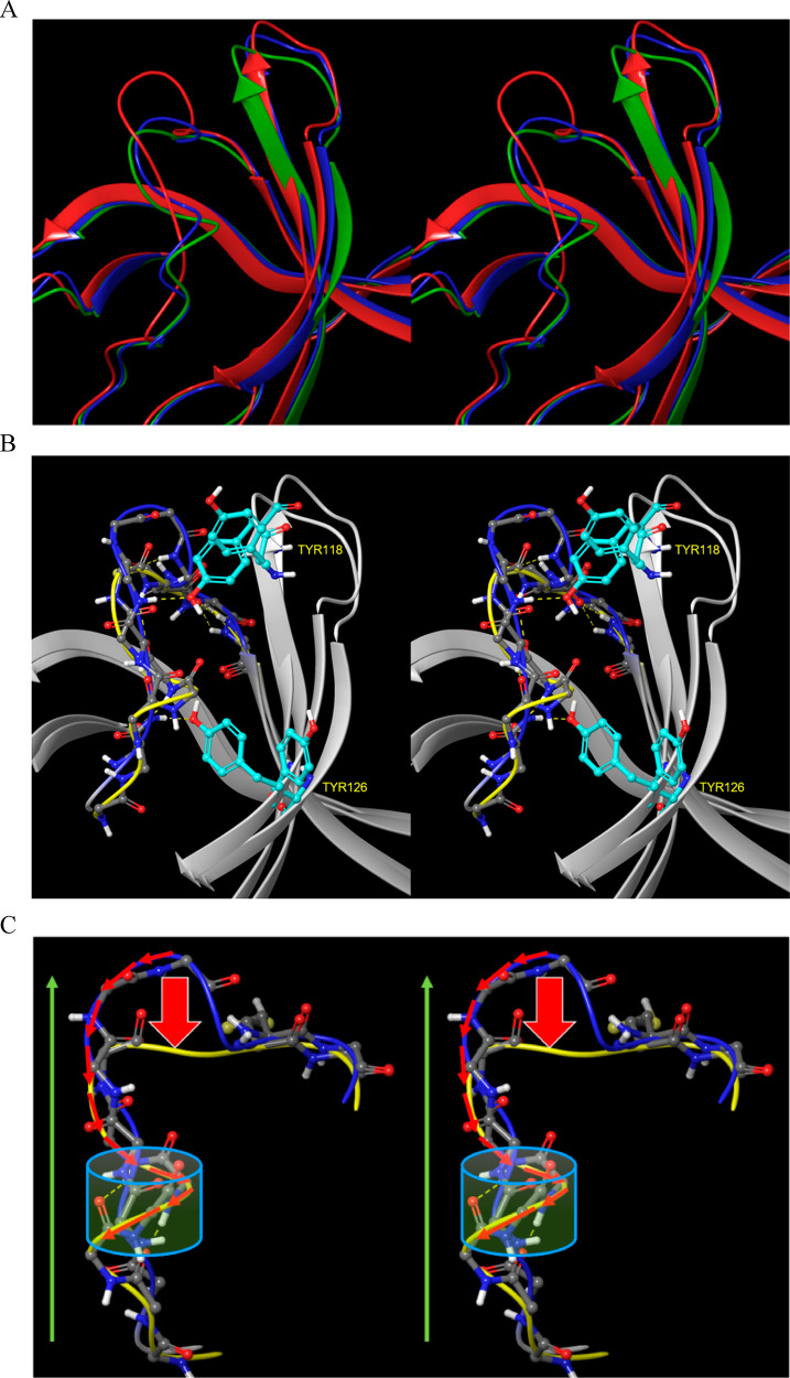 Figure 19