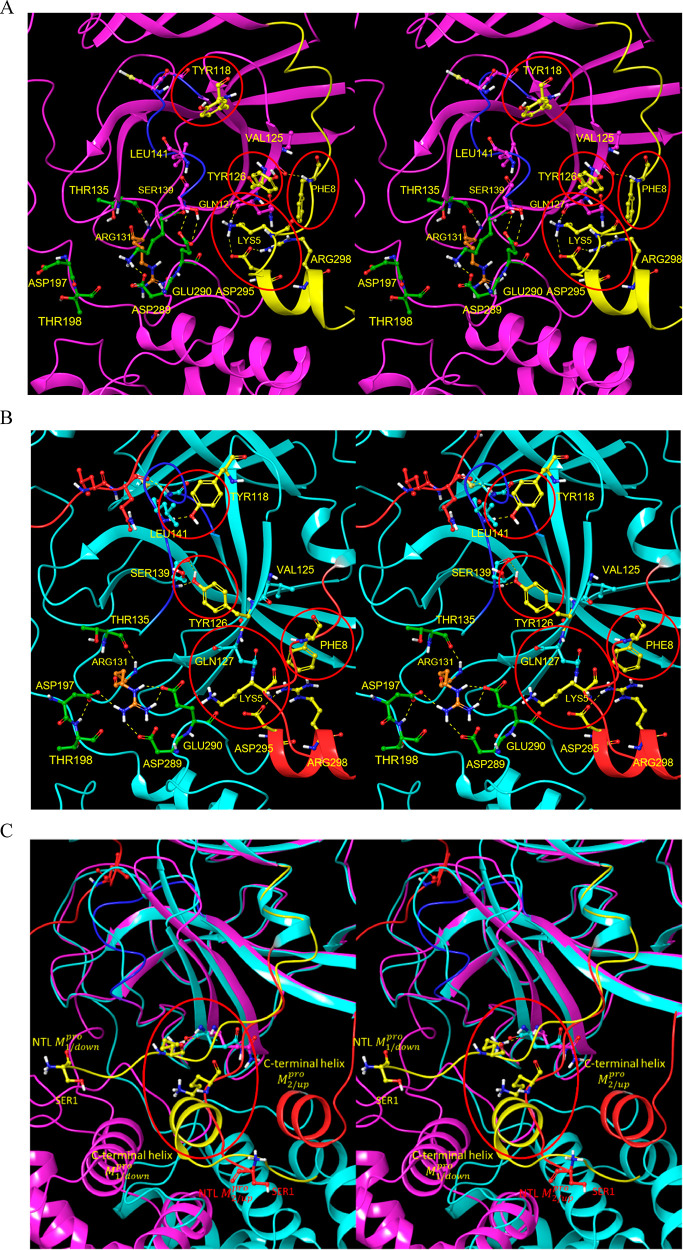 Figure 13