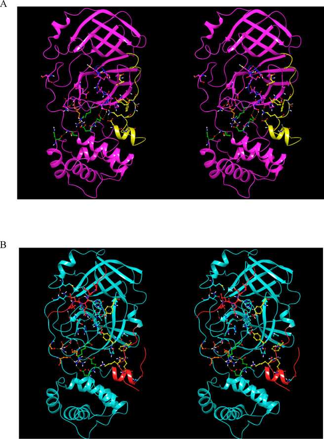 Figure 10