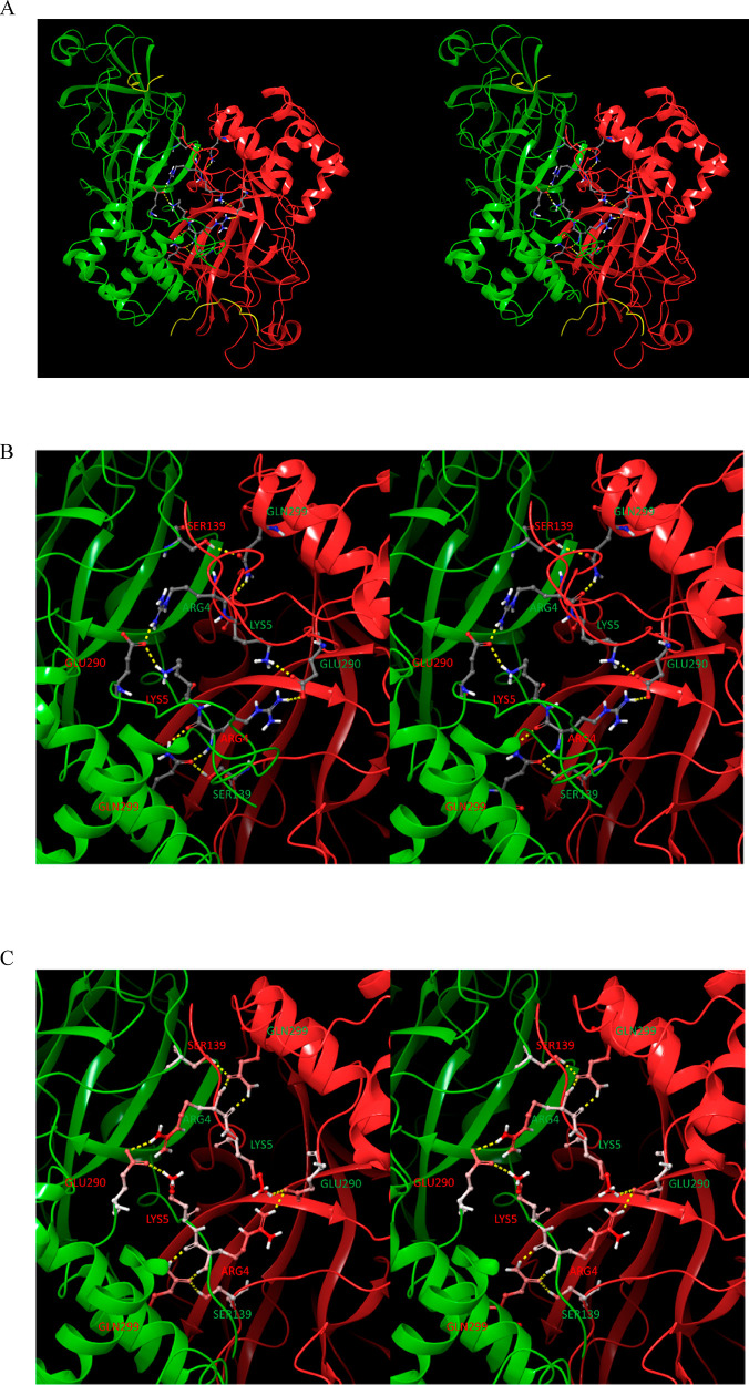 Figure 25