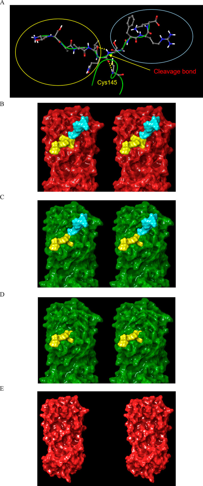 Figure 22