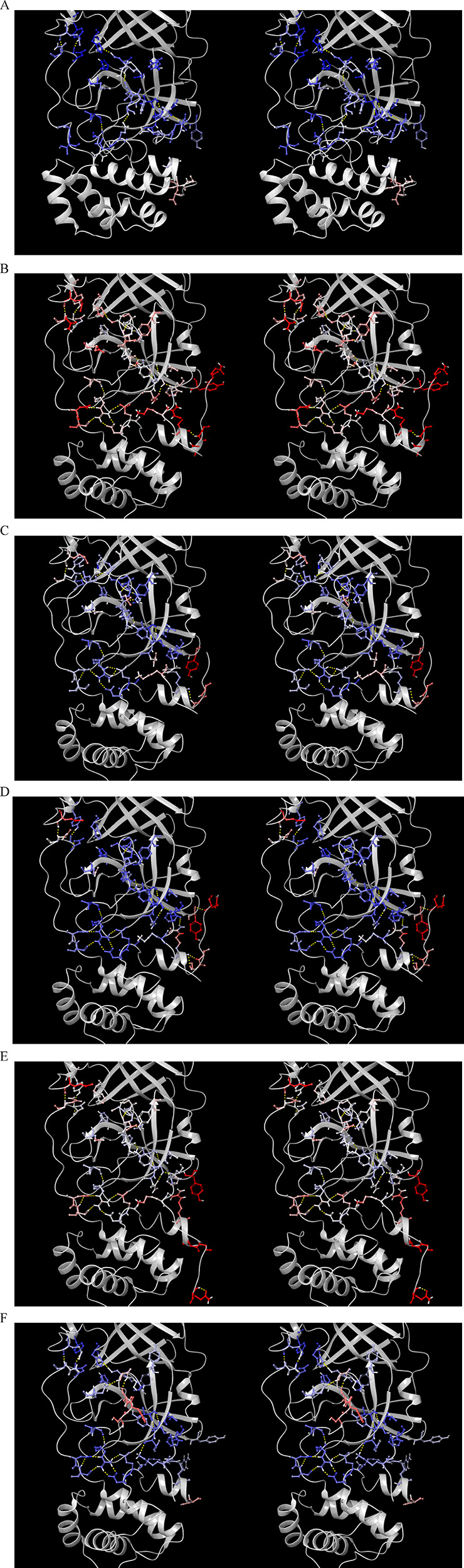 Figure 14