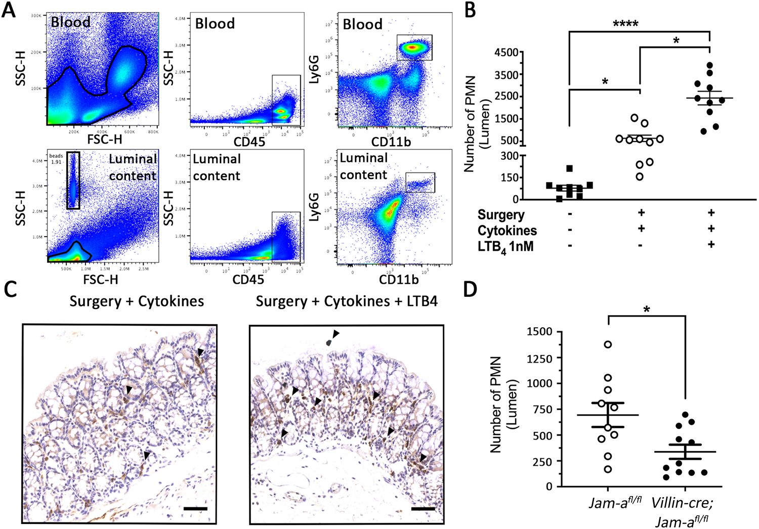 Figure 4: