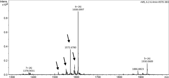 Fig. 2