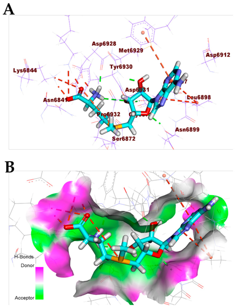 Figure 7