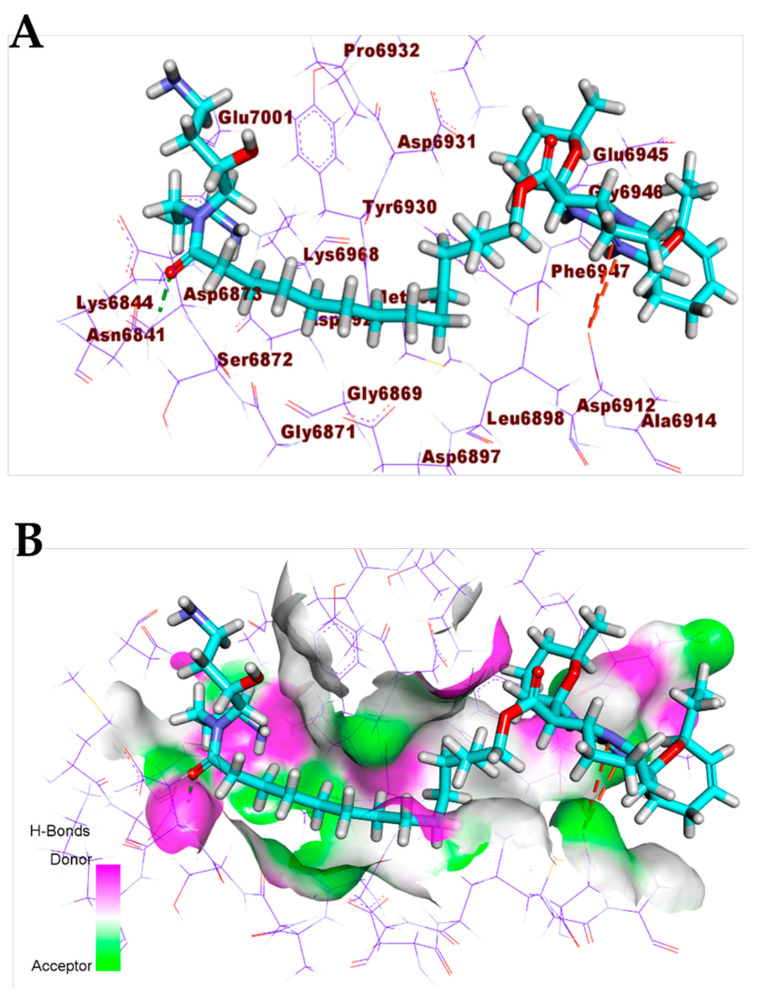 Figure 10