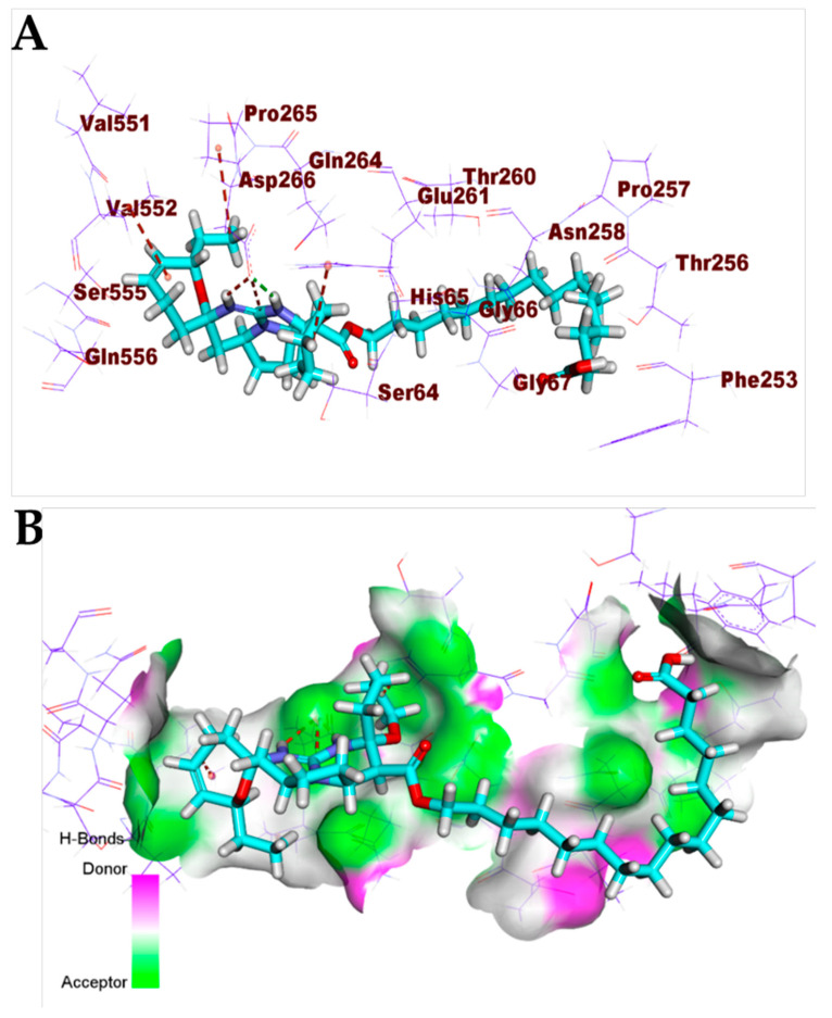 Figure 14