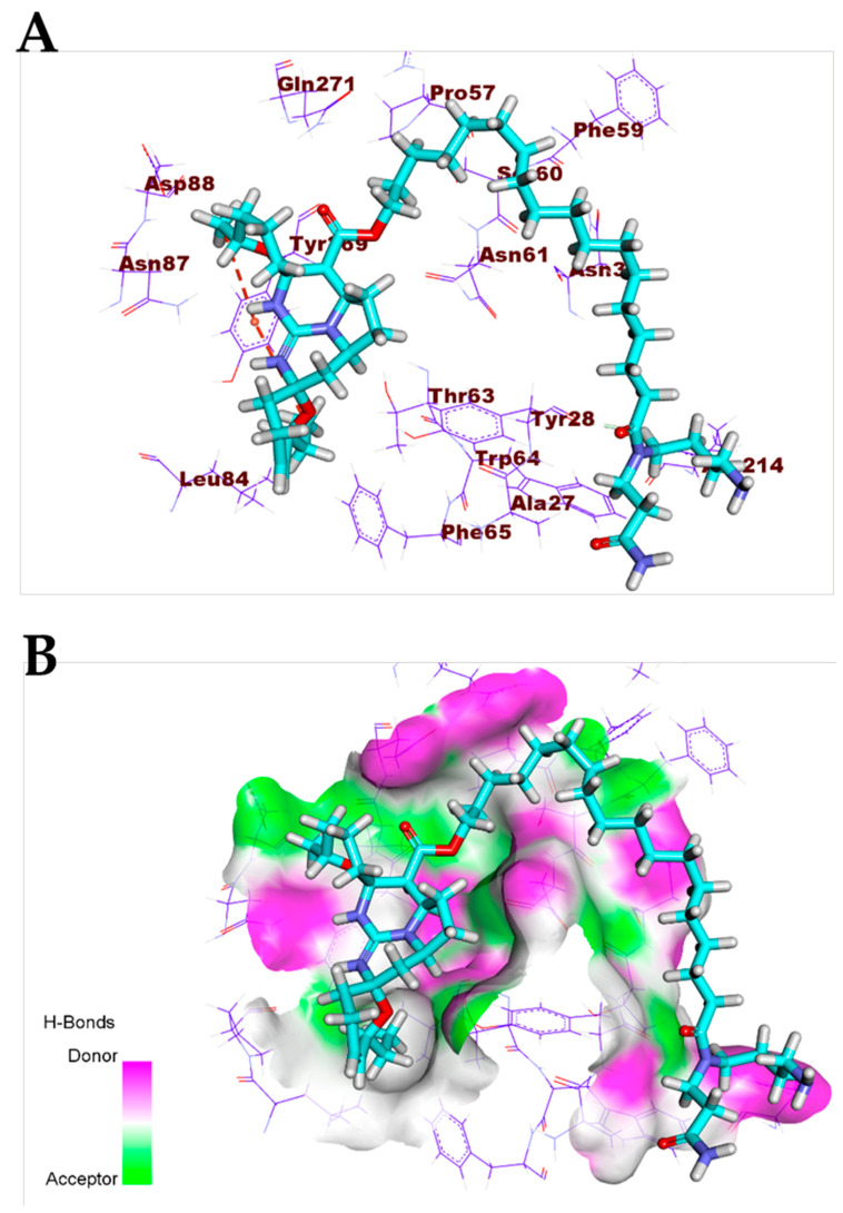 Figure 12