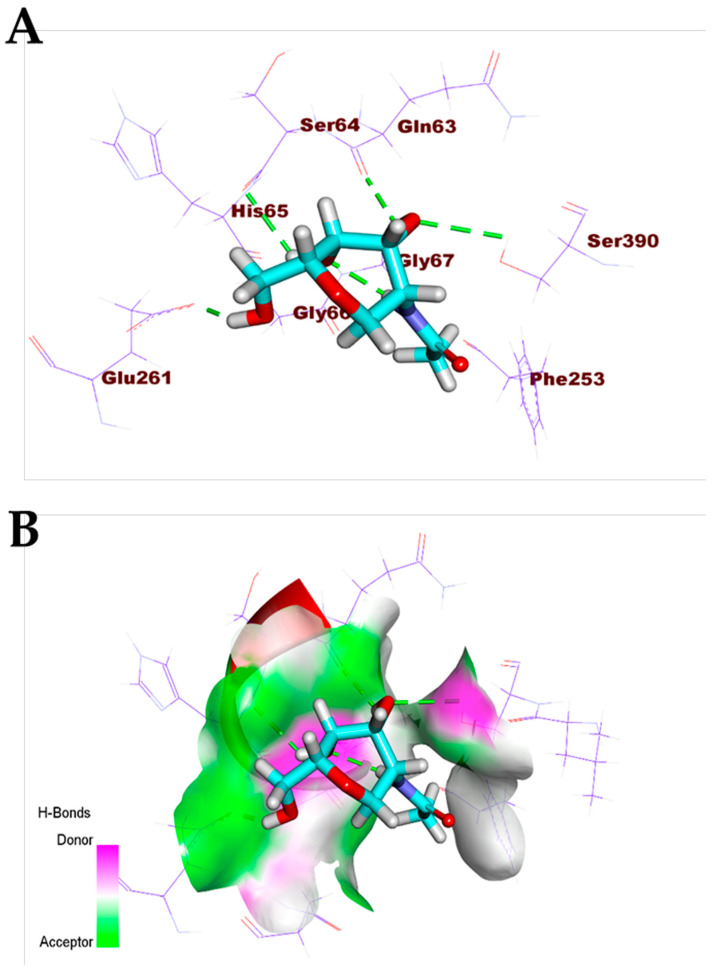 Figure 6