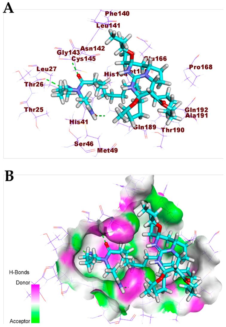 Figure 11