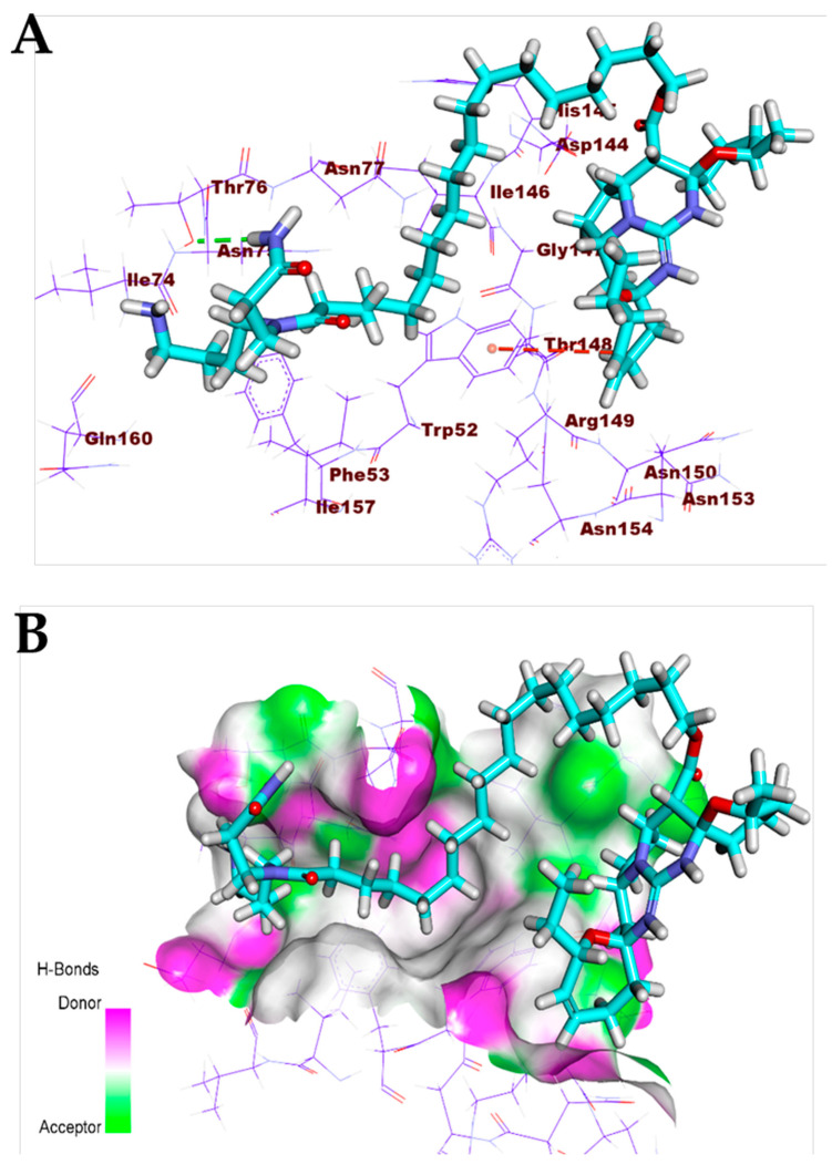 Figure 13