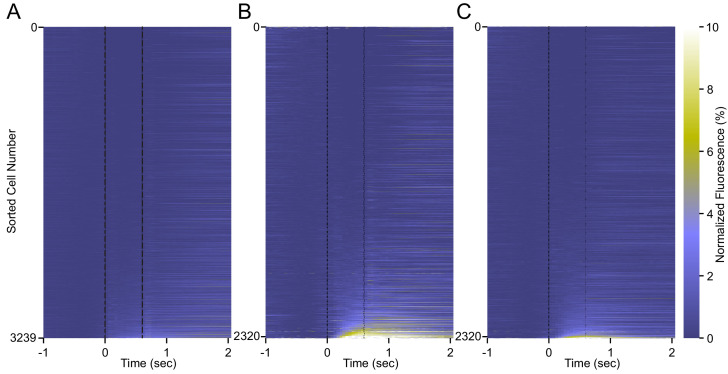 Figure 2—figure supplement 3.