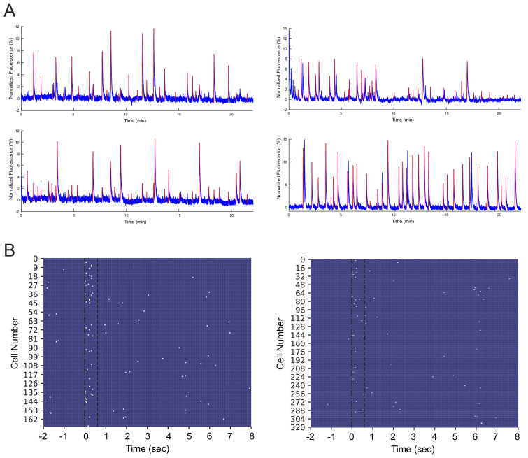 Figure 2—figure supplement 2.