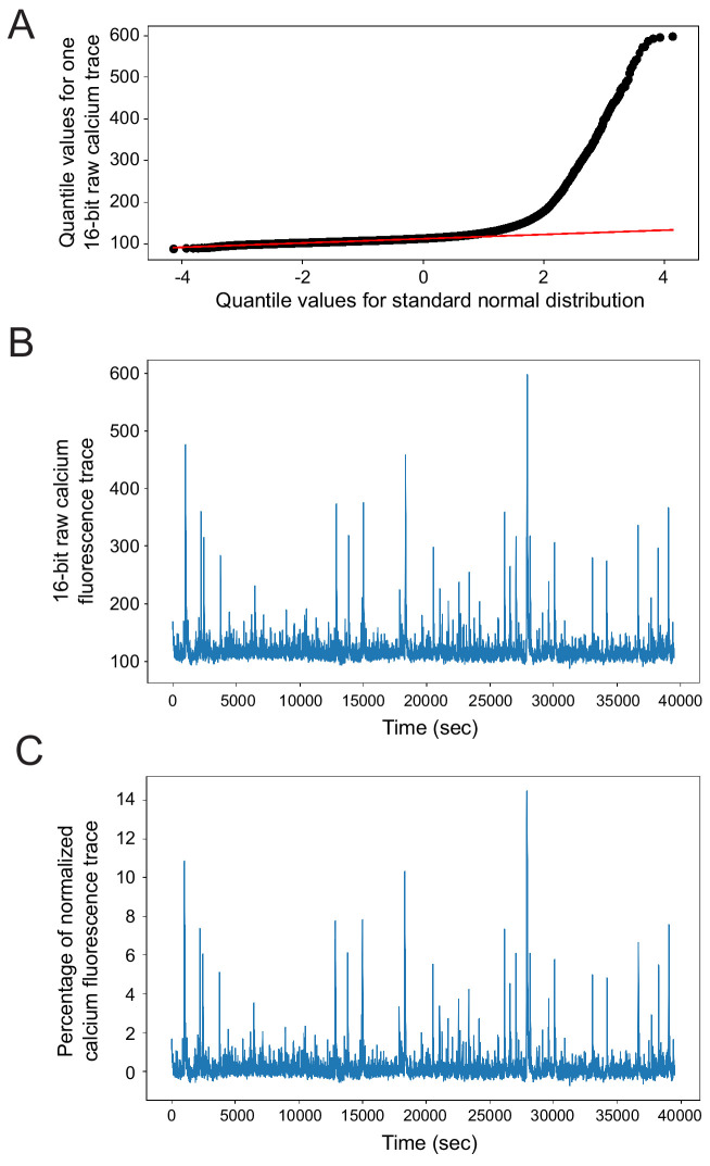 Figure 1—figure supplement 1.