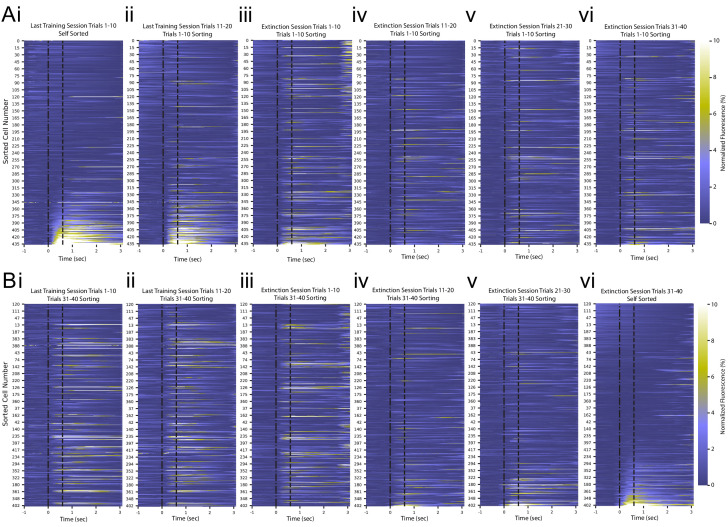 Figure 2—figure supplement 5.