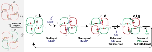 FIGURE 10.