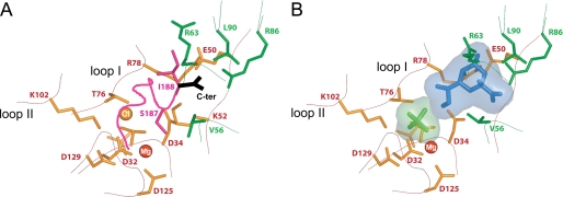 FIGURE 7.