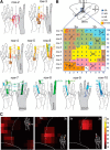 Figure 10.