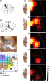 Figure 13.