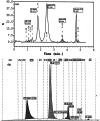 Fig. 3