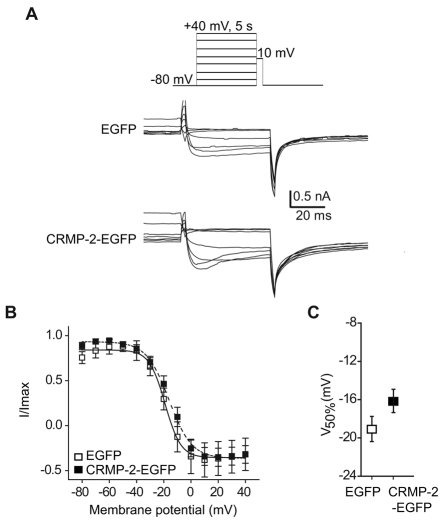 Fig. 5.