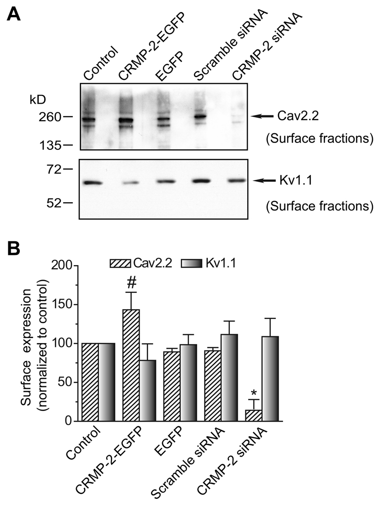 Fig. 9.