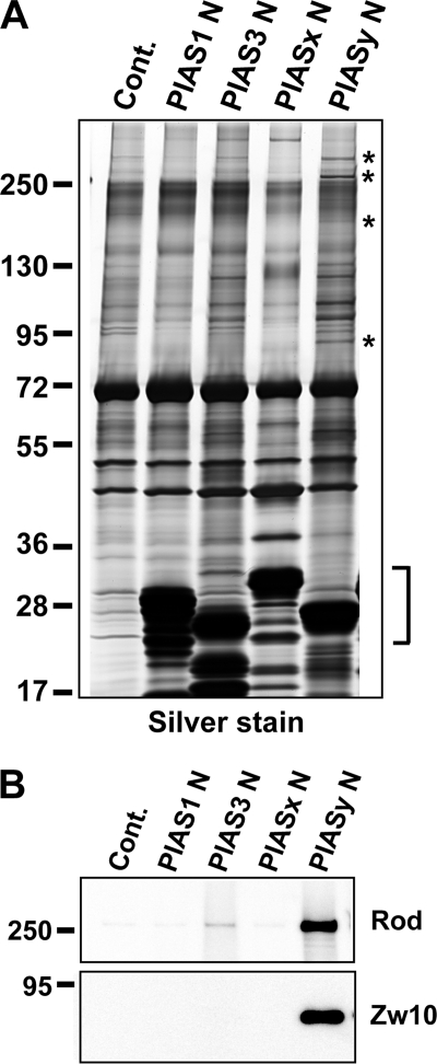 FIGURE 4.