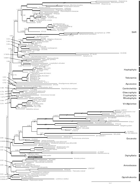 FIG. 1.