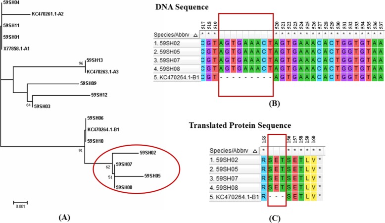 Fig. 3