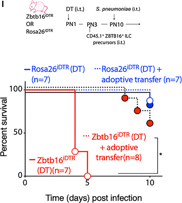 Figure 3I.