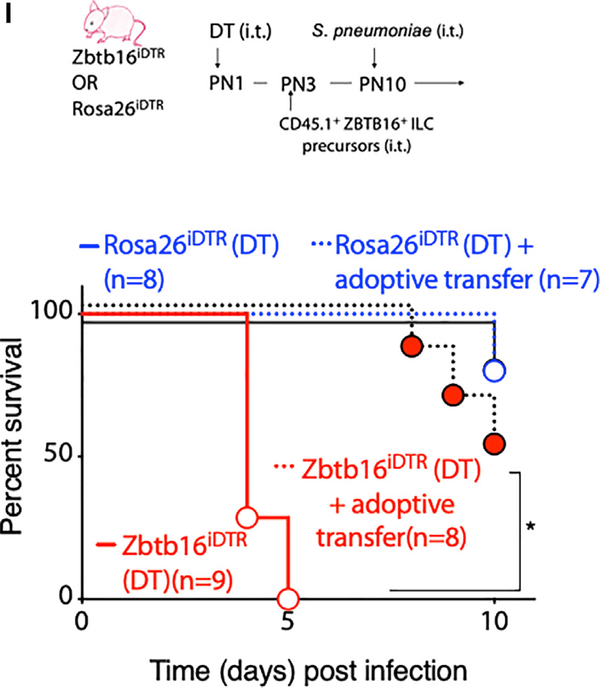 Figure 3I.