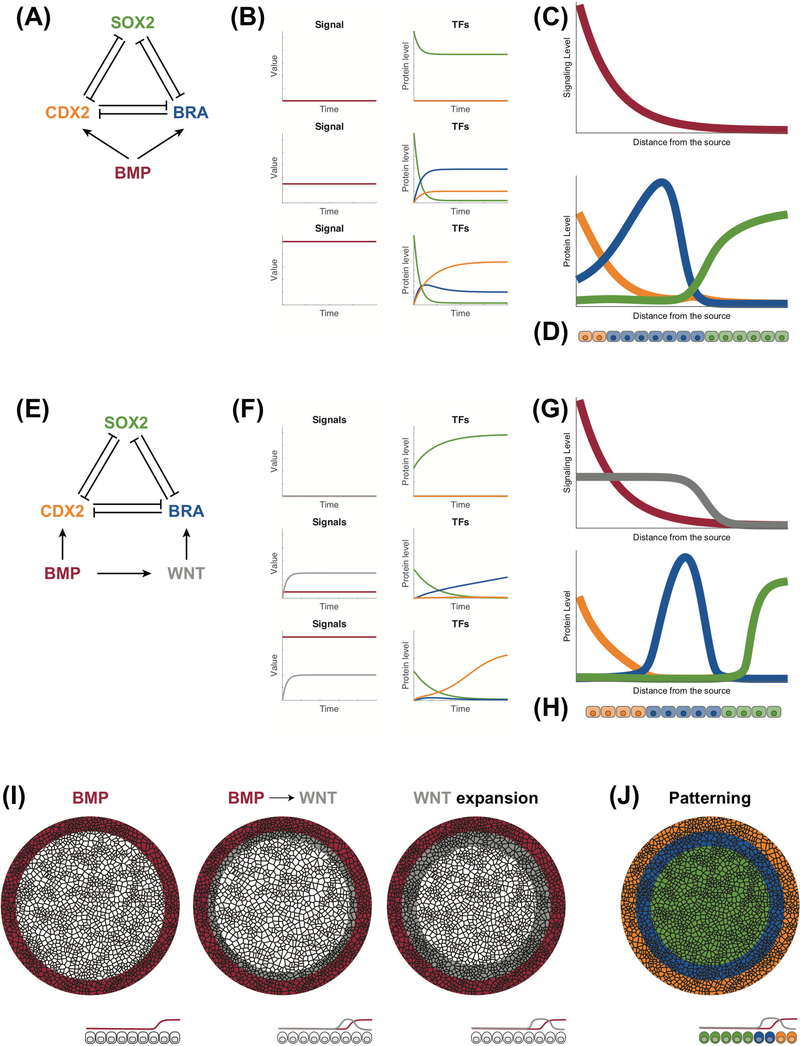 Figure 1: