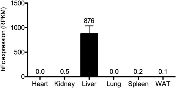 Fig. S4.