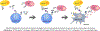 Figure 3: