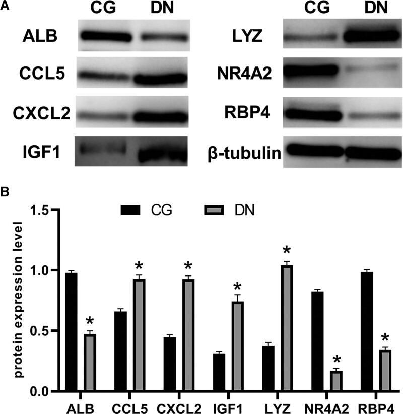 Figure 11.