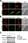 Figure 7.