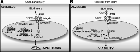 Fig. 8.