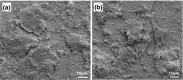Figure 11.