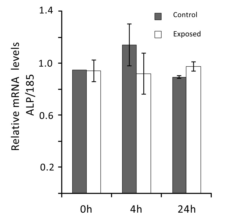 Fig. (6)