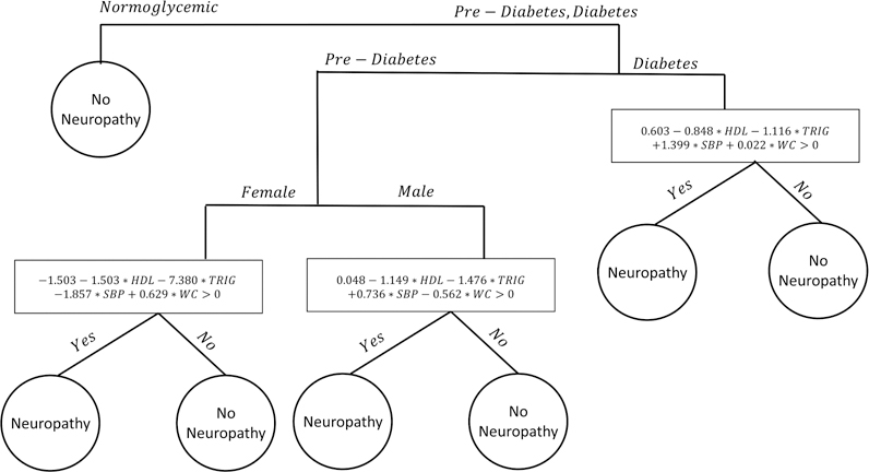 Figure 6: