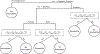 Figure 6: