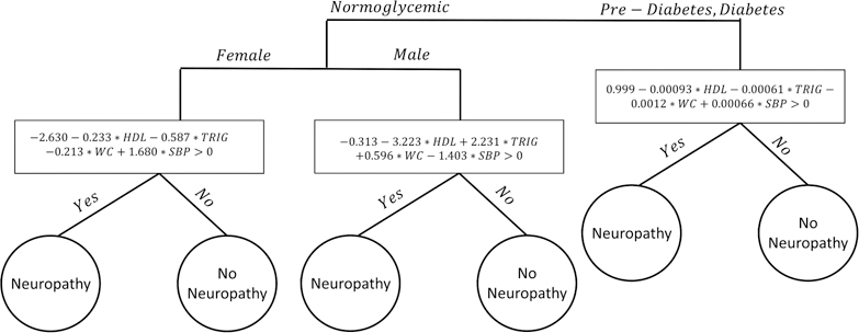 Figure 5: